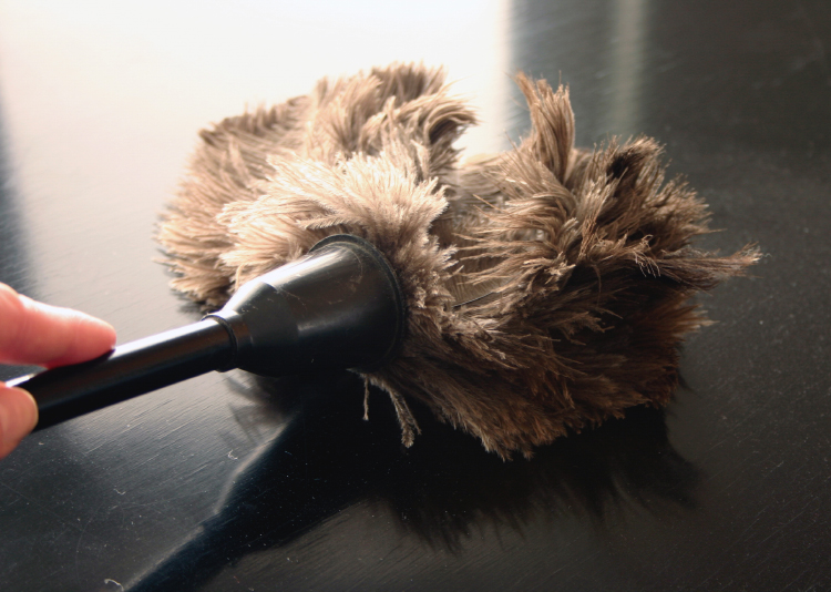 How to Choose the Best Duster