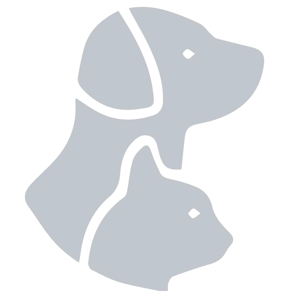 Pet Cleaning Tools