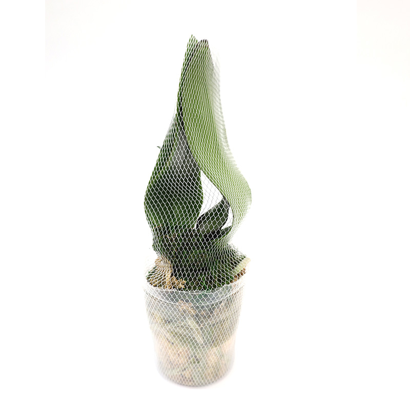 RT-A1503 Orchid Protective Net